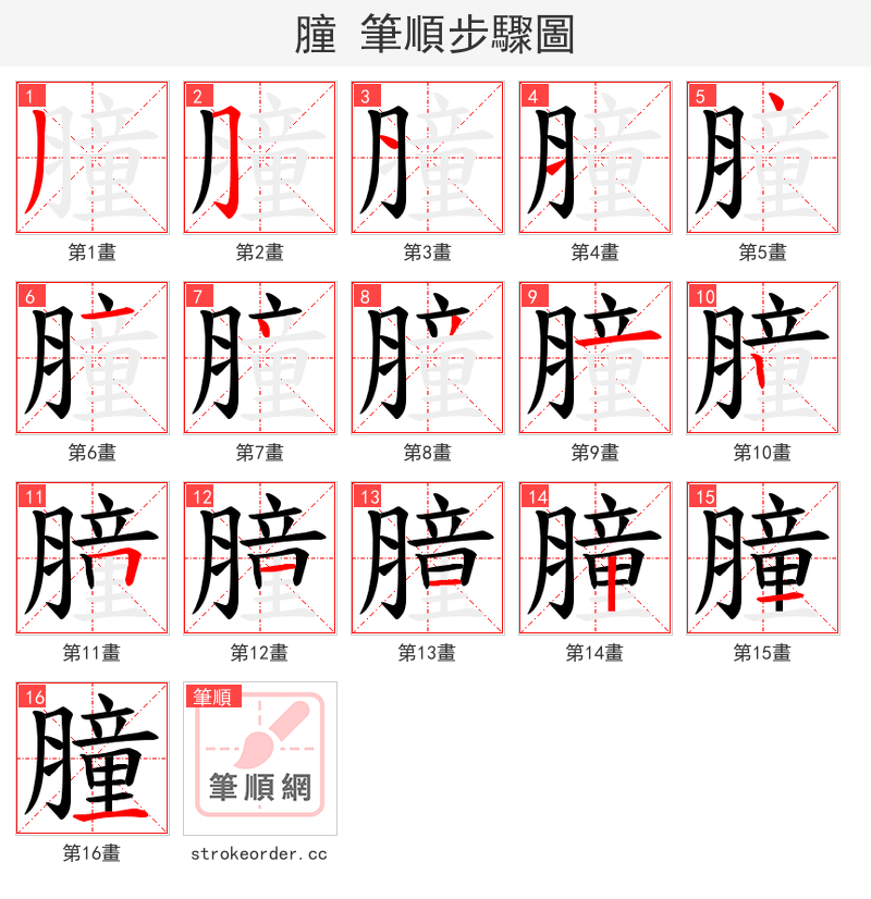 膧 的笔顺分步演示（一笔一画写字）