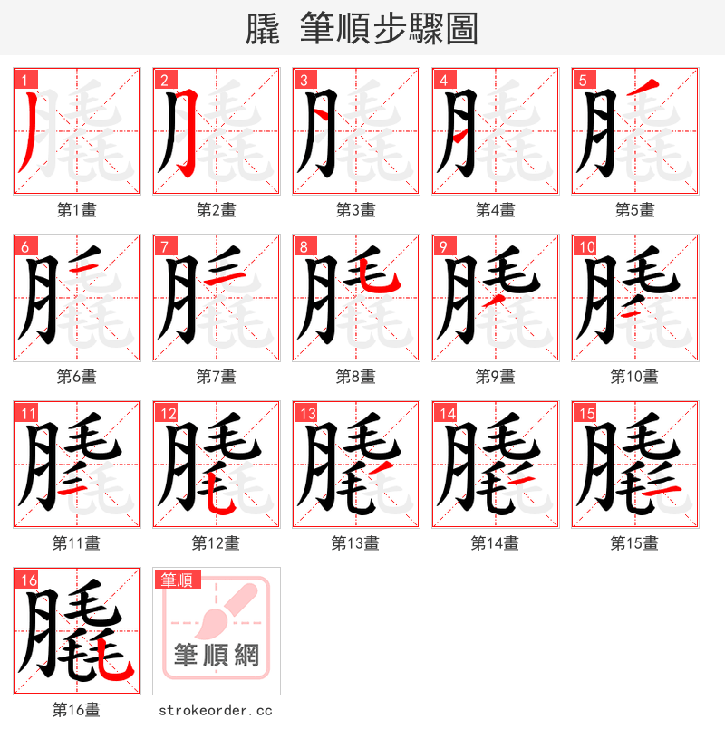 膬 的笔顺分步演示（一笔一画写字）
