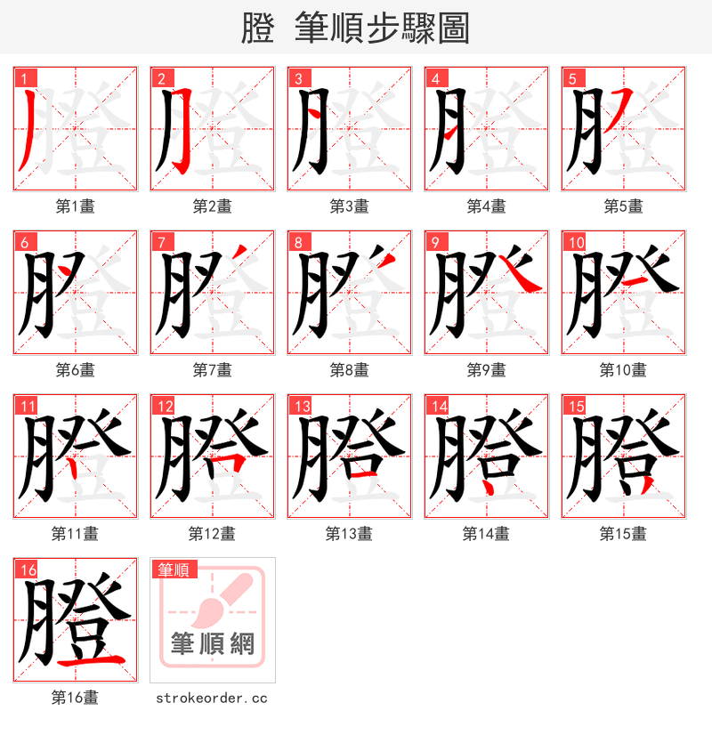 膯 的笔顺分步演示（一笔一画写字）