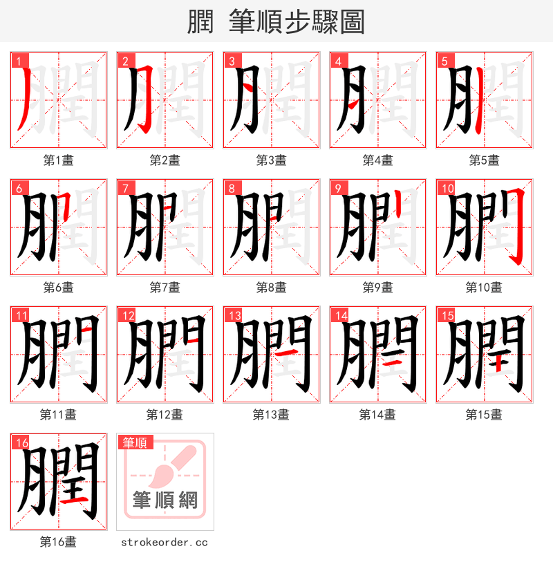 膶 的笔顺分步演示（一笔一画写字）