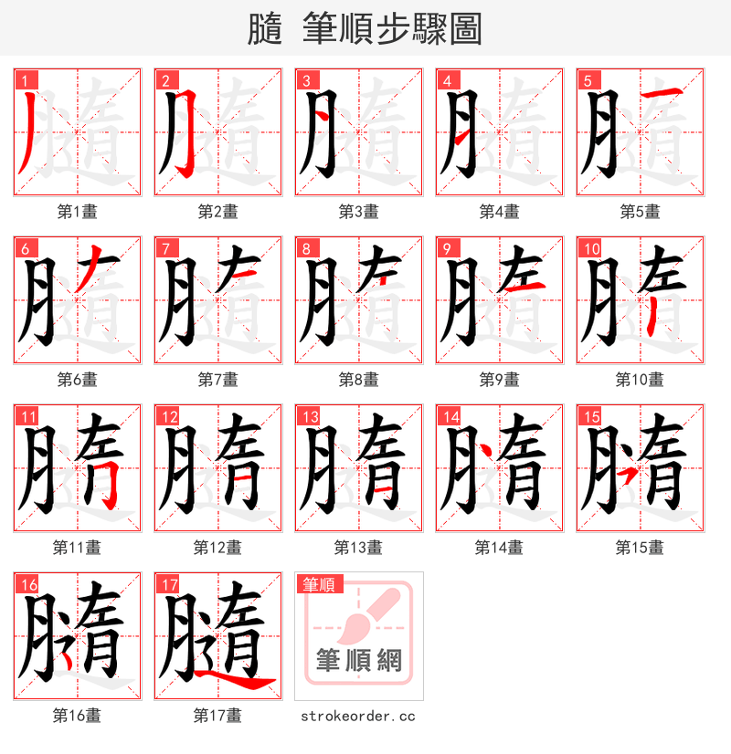 膸 的笔顺分步演示（一笔一画写字）