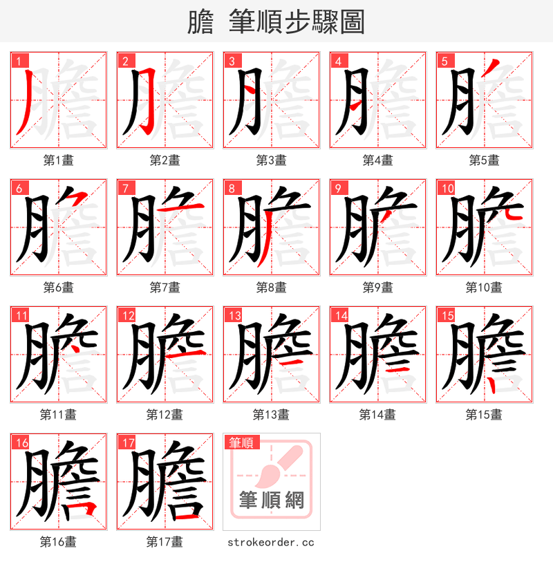膽 的笔顺分步演示（一笔一画写字）