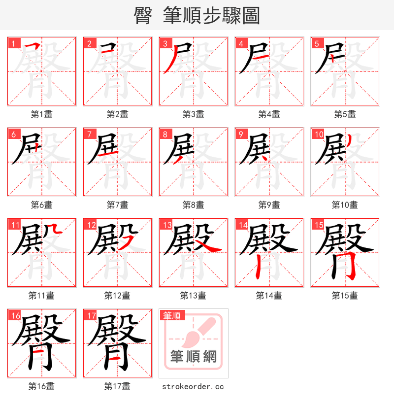 臀 的笔顺分步演示（一笔一画写字）