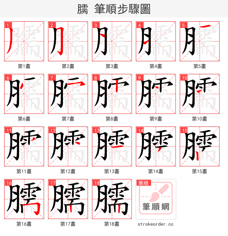 臑 的笔顺分步演示（一笔一画写字）