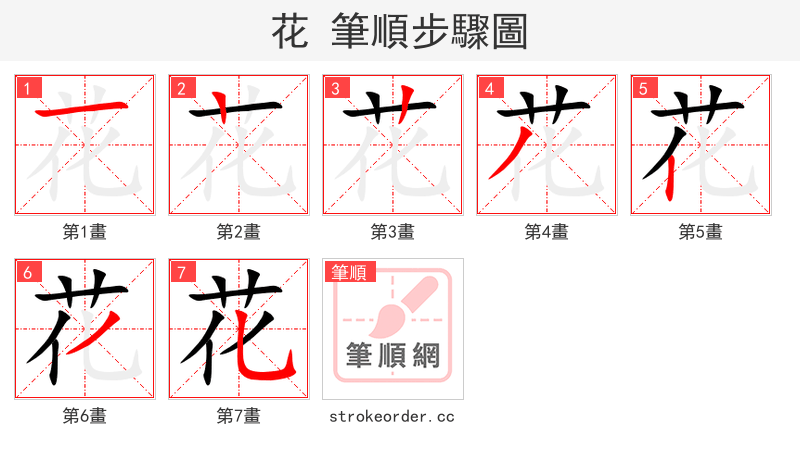 花 的笔顺分步演示（一笔一画写字）