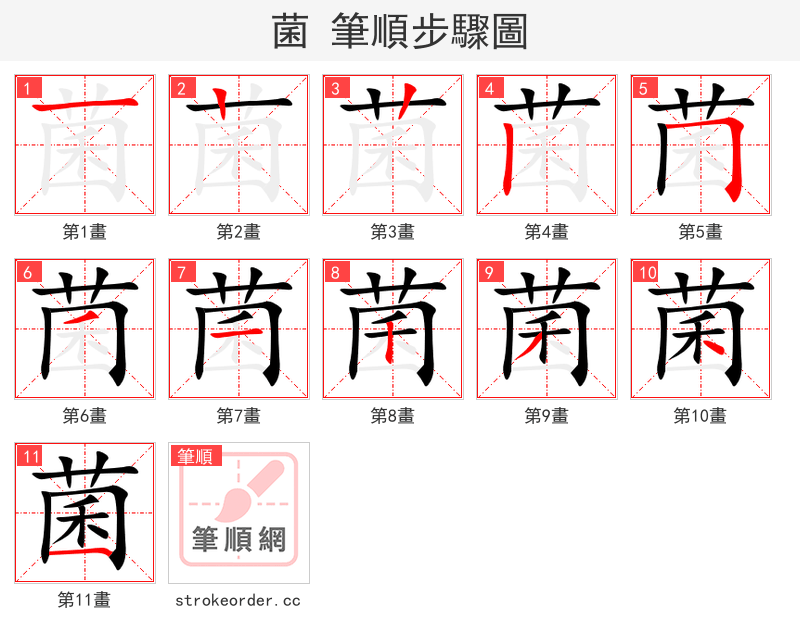 菌 的笔顺分步演示（一笔一画写字）