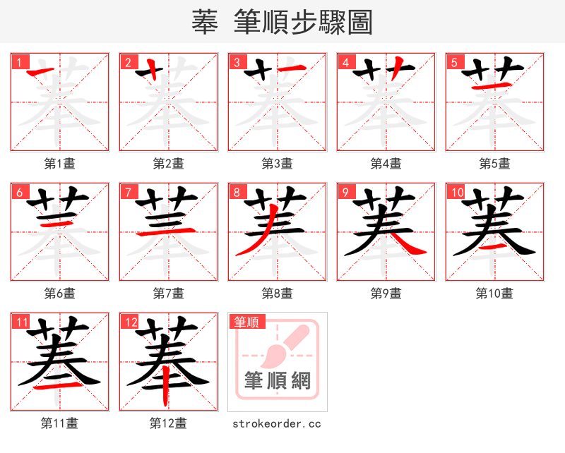 菶 的笔顺分步演示（一笔一画写字）