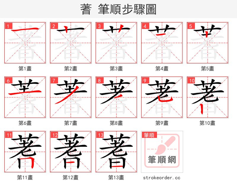 蓍 的笔顺分步演示（一笔一画写字）