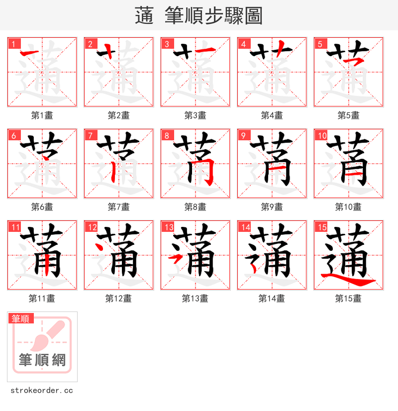 蓪 的笔顺分步演示（一笔一画写字）