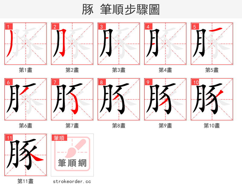 豚 的笔顺分步演示（一笔一画写字）