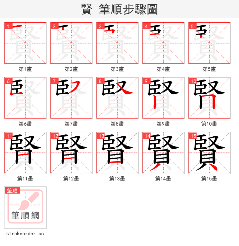 賢 的笔顺分步演示（一笔一画写字）