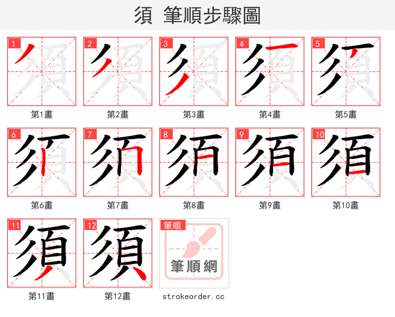 須 的笔顺分步演示（一笔一画写字）