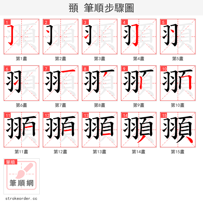 頨 的笔顺分步演示（一笔一画写字）