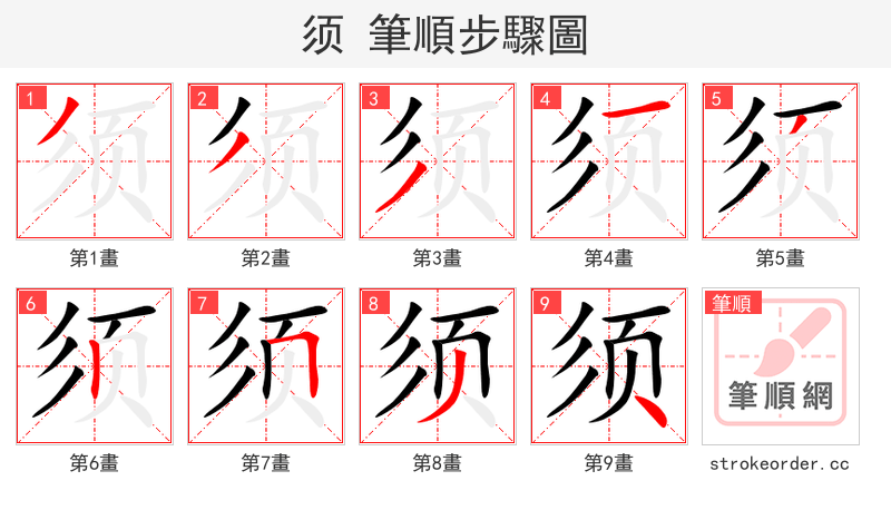 须 的笔顺分步演示（一笔一画写字）