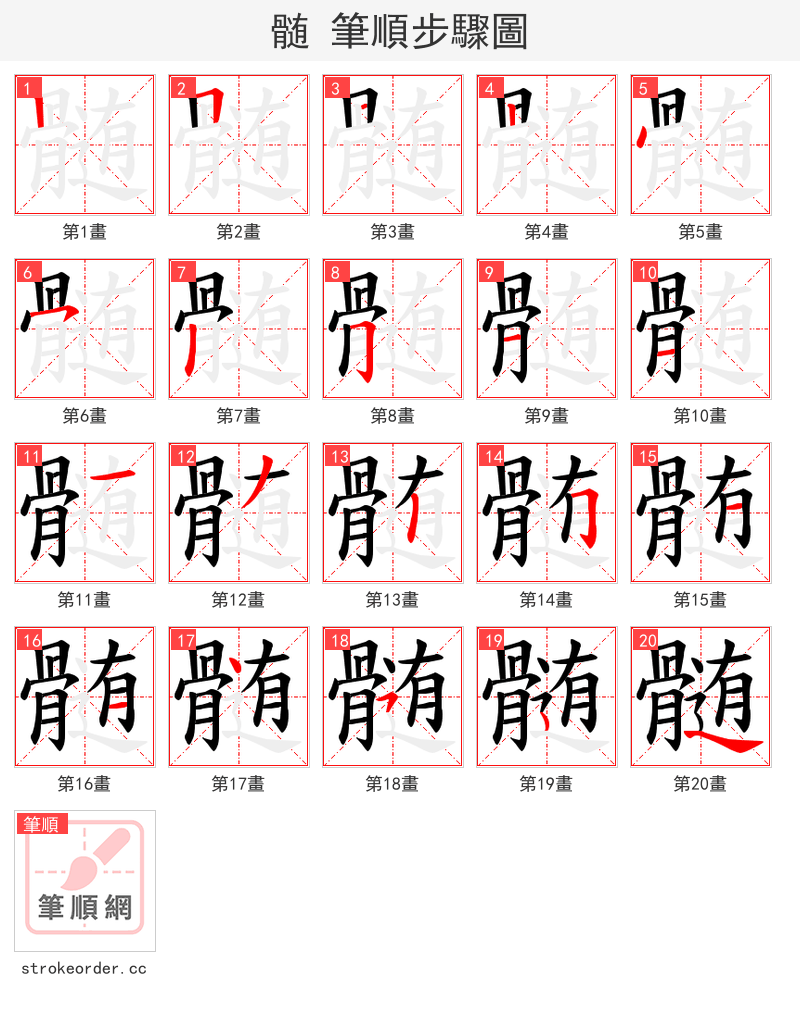 髄 的笔顺分步演示（一笔一画写字）