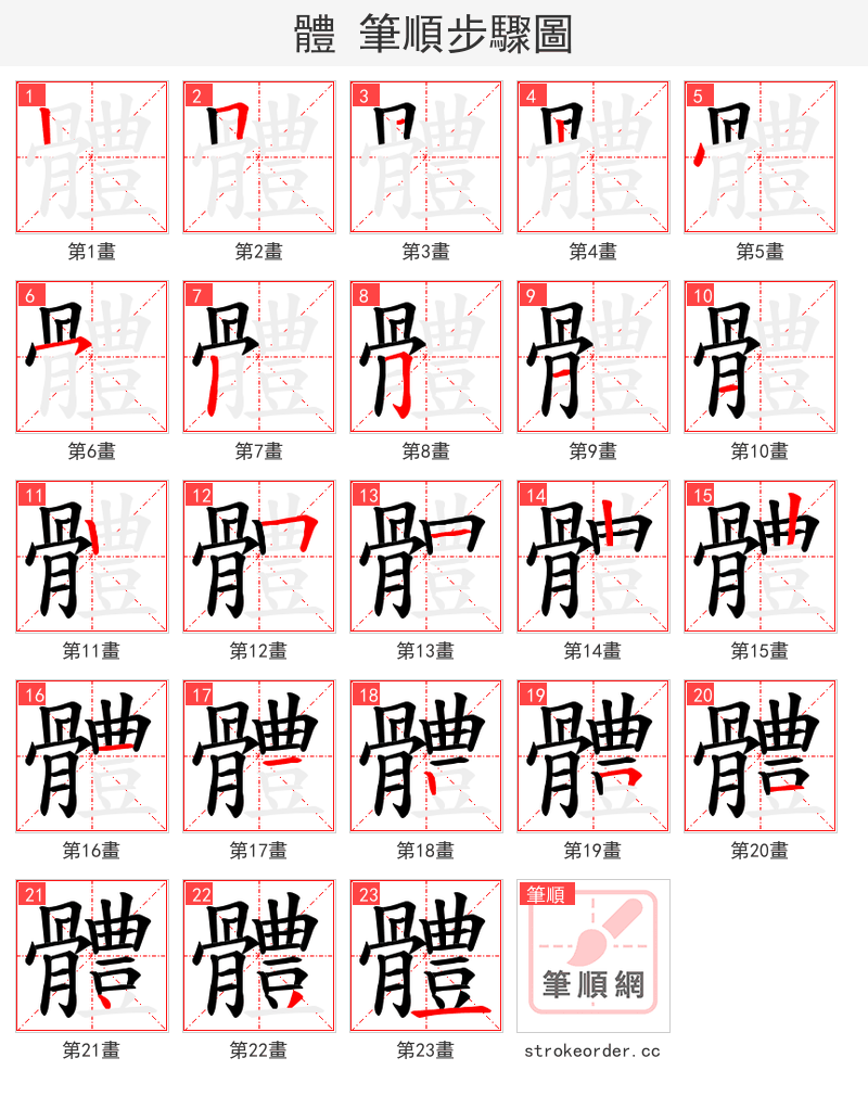 體 的笔顺分步演示（一笔一画写字）