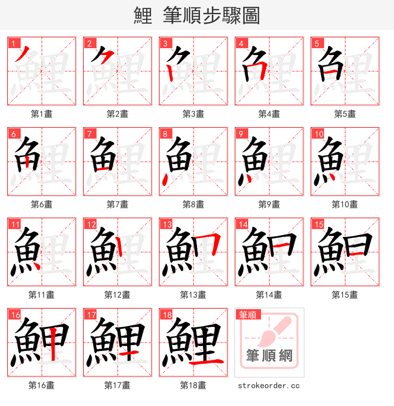 鯉 的笔顺分步演示（一笔一画写字）
