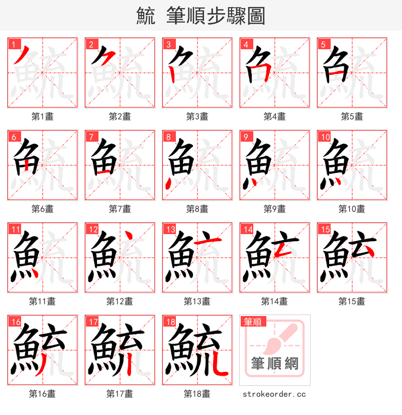 鯍 的笔顺分步演示（一笔一画写字）