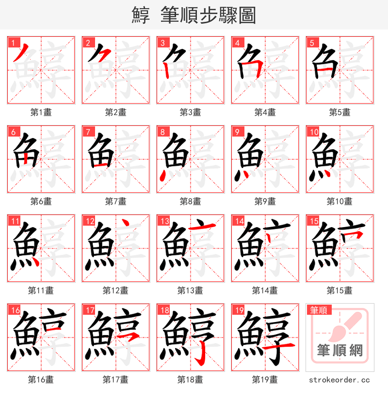 鯙 的笔顺分步演示（一笔一画写字）