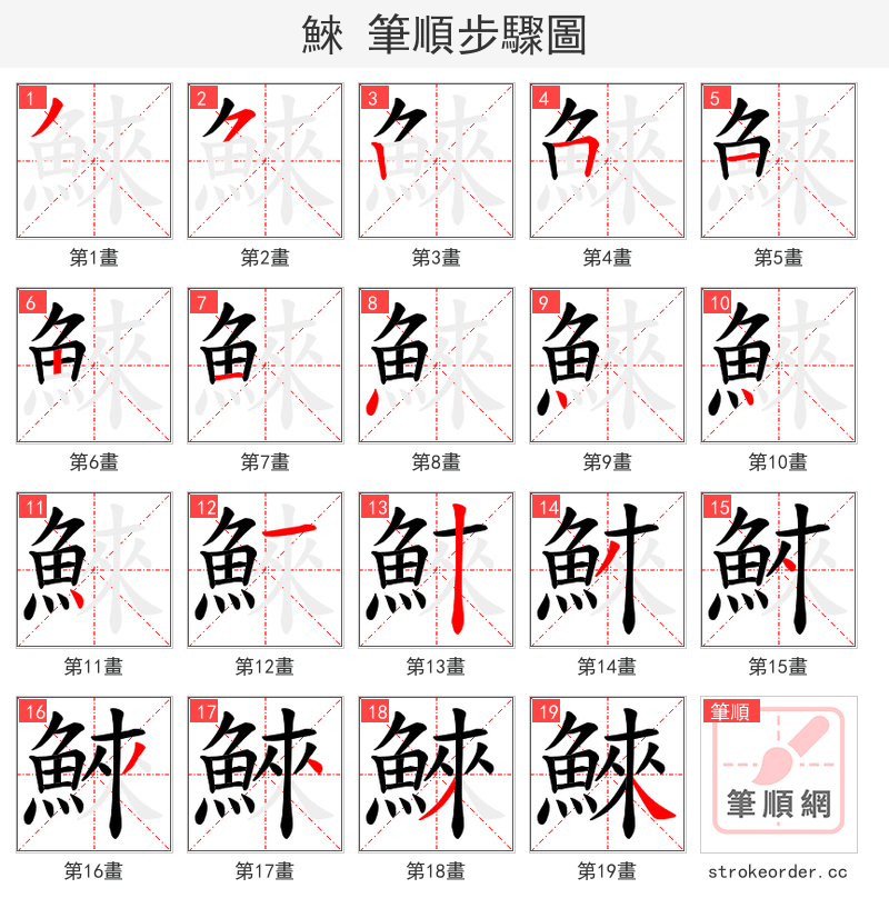 鯠 的笔顺分步演示（一笔一画写字）