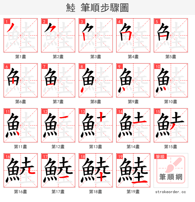 鯥 的笔顺分步演示（一笔一画写字）