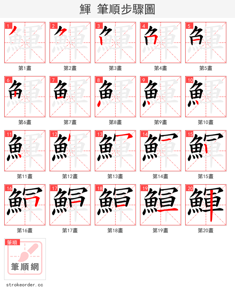 鯶 的笔顺分步演示（一笔一画写字）