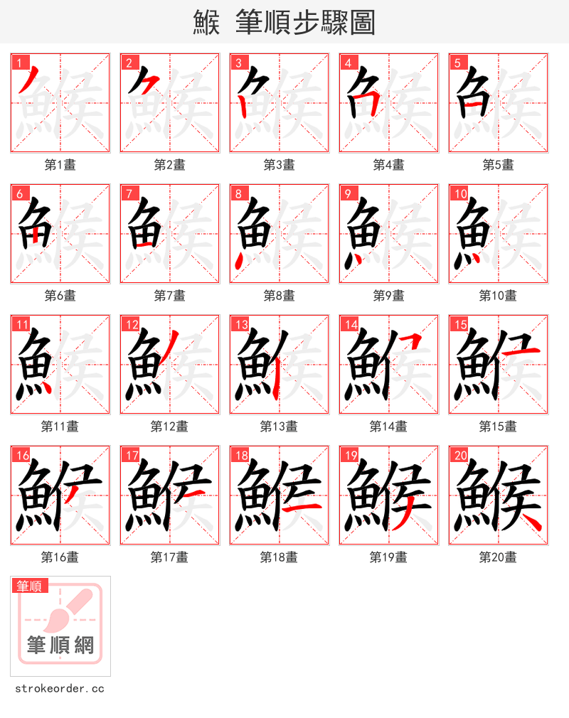 鯸 的笔顺分步演示（一笔一画写字）