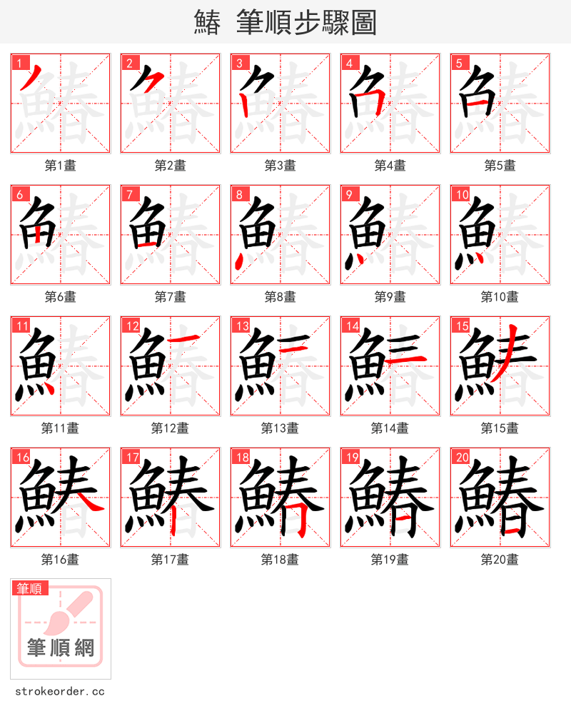鰆 的笔顺分步演示（一笔一画写字）