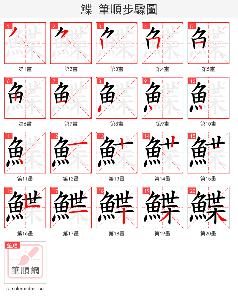 鰈 的笔顺分步演示（一笔一画写字）