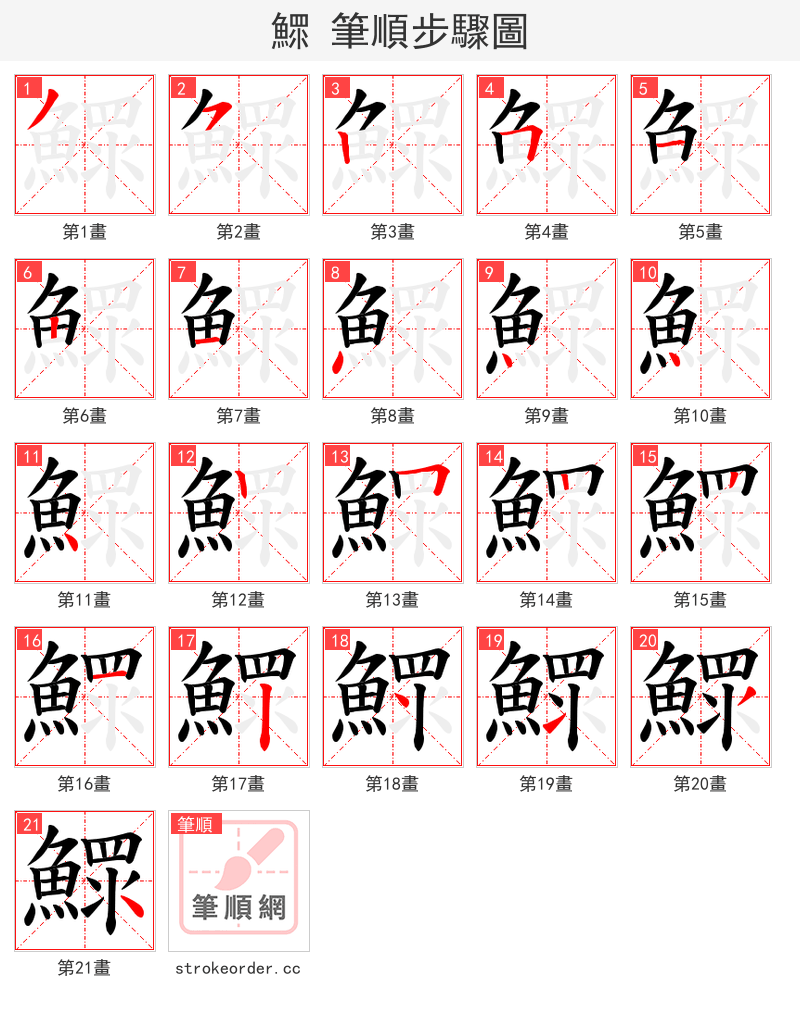 鰥 的笔顺分步演示（一笔一画写字）