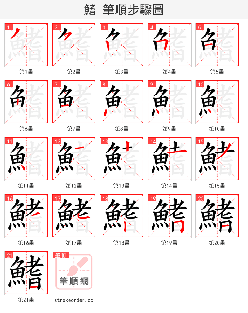 鰭 的笔顺分步演示（一笔一画写字）