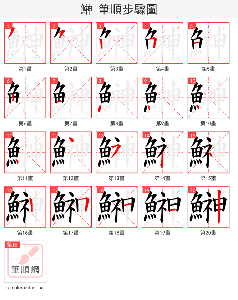 鰰 的笔顺分步演示（一笔一画写字）