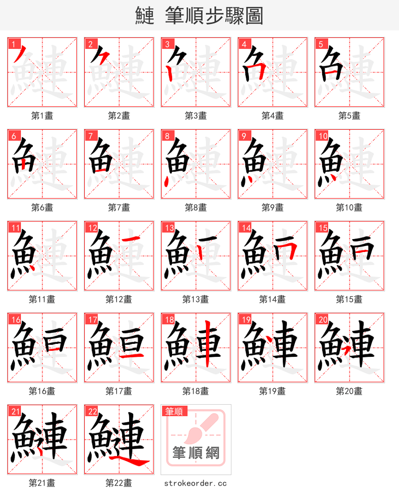 鰱 的笔顺分步演示（一笔一画写字）