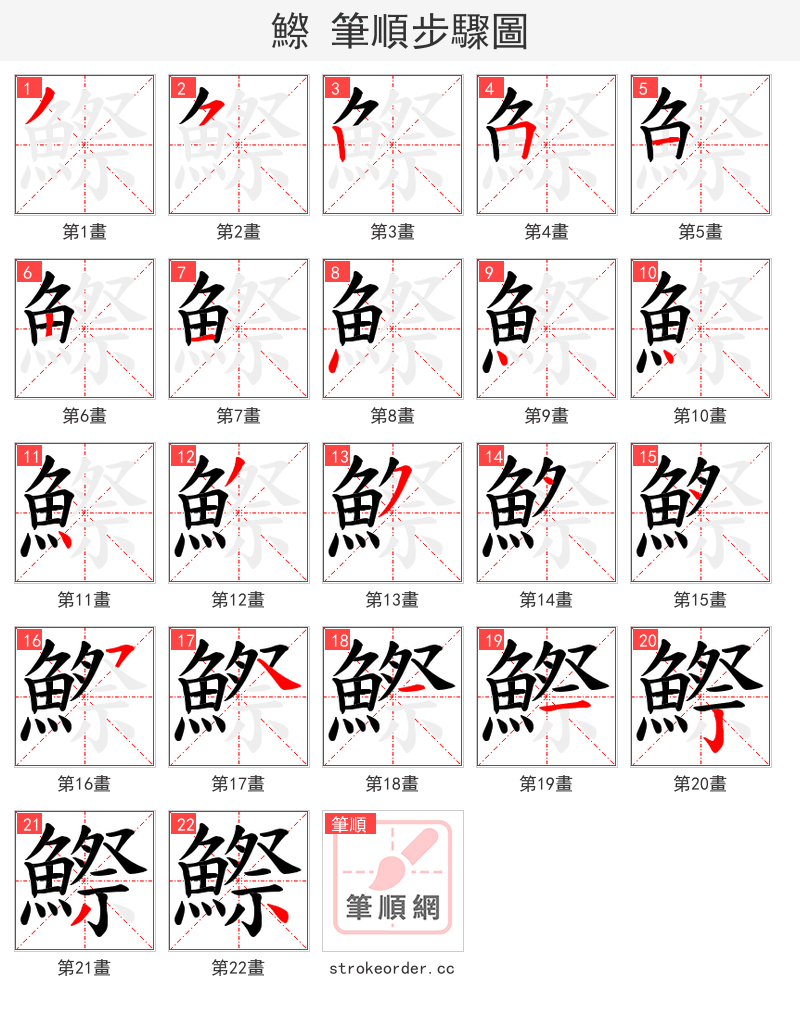 鰶 的笔顺分步演示（一笔一画写字）