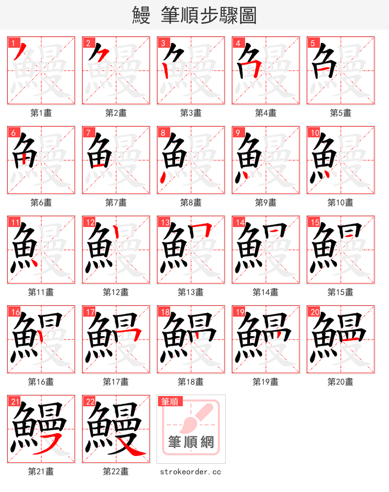 鰻 的笔顺分步演示（一笔一画写字）