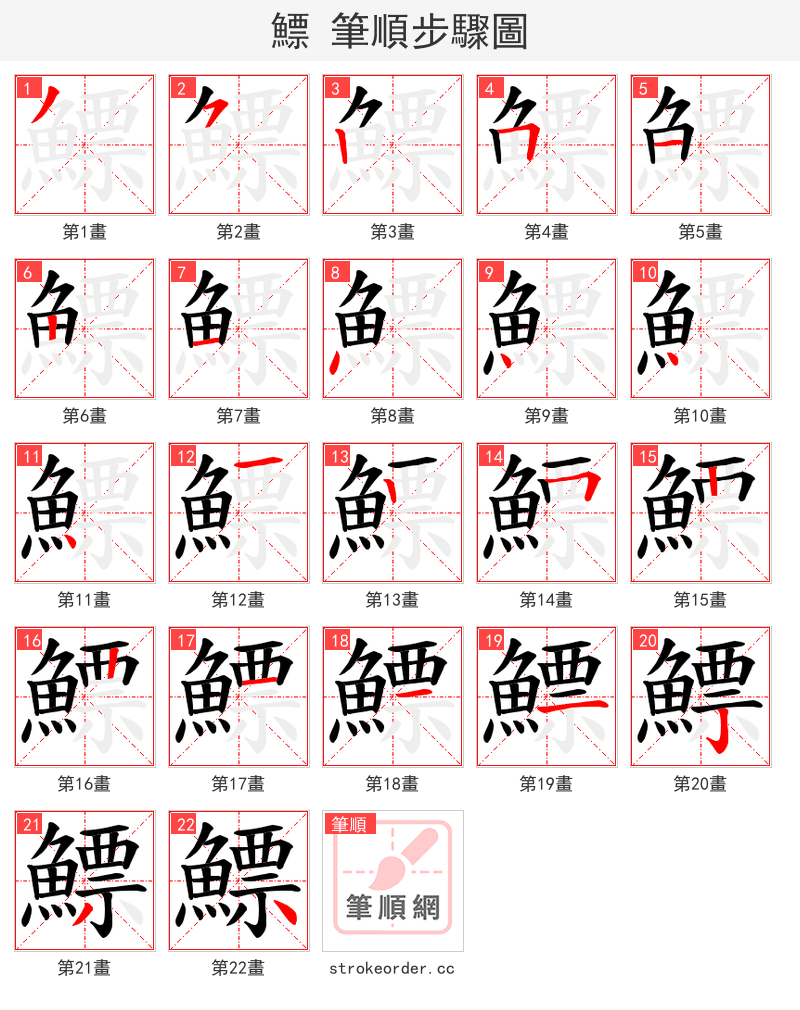 鰾 的笔顺分步演示（一笔一画写字）