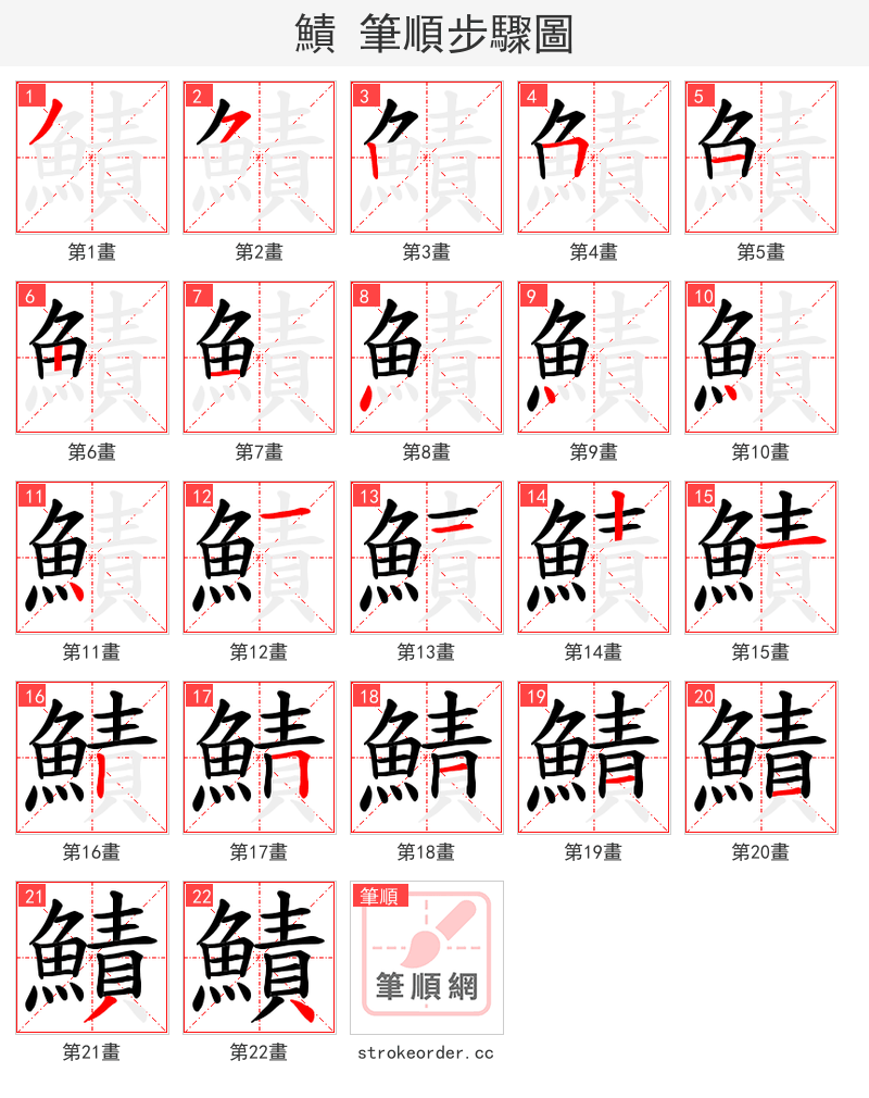 鰿 的笔顺分步演示（一笔一画写字）