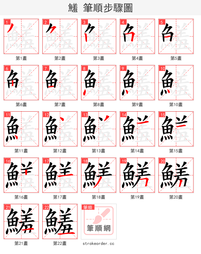 鱃 的笔顺分步演示（一笔一画写字）