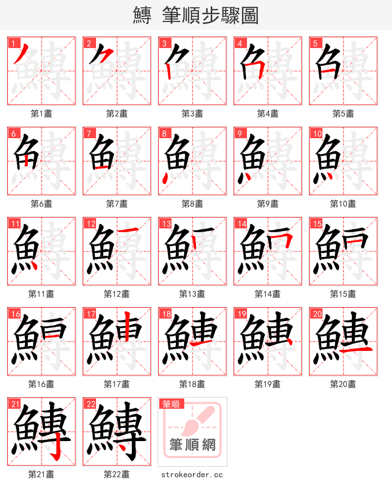 鱄 的笔顺分步演示（一笔一画写字）