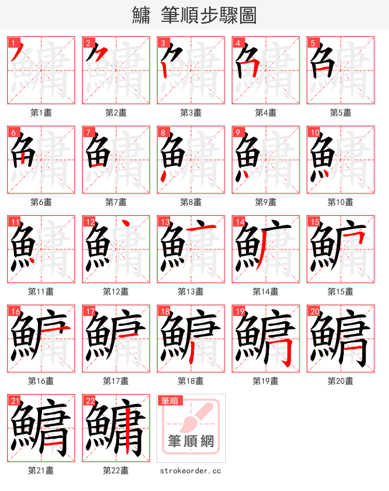 鱅 的笔顺分步演示（一笔一画写字）