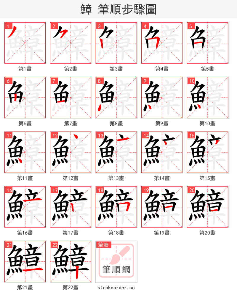 鱆 的笔顺分步演示（一笔一画写字）