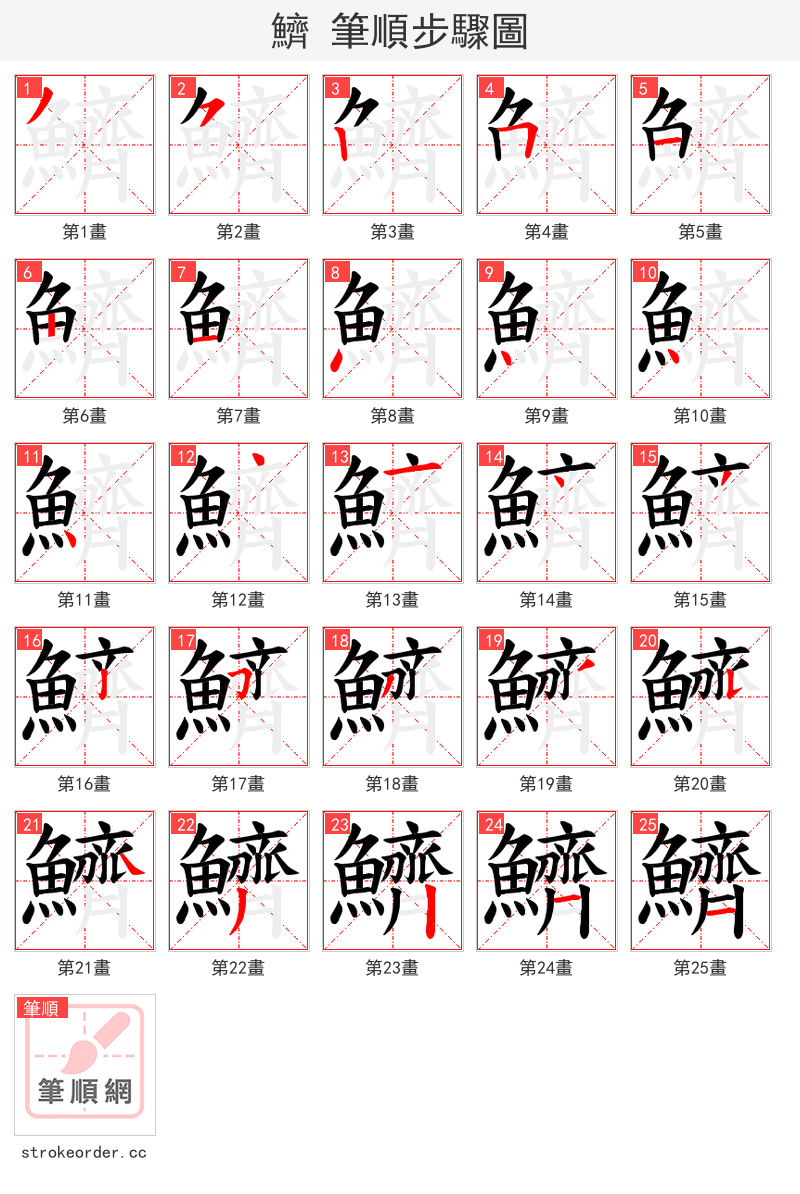 鱭 的笔顺分步演示（一笔一画写字）