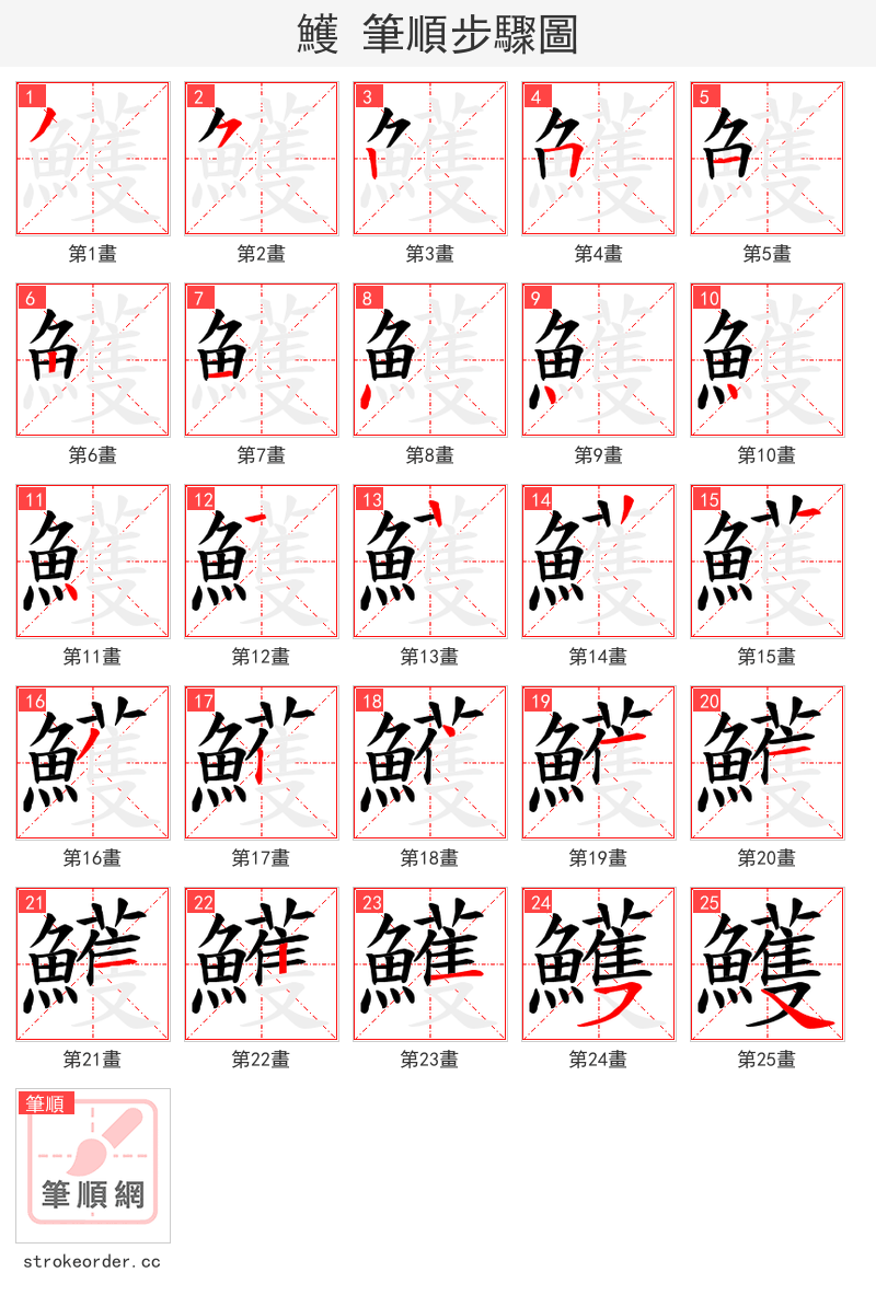 鱯 的笔顺分步演示（一笔一画写字）