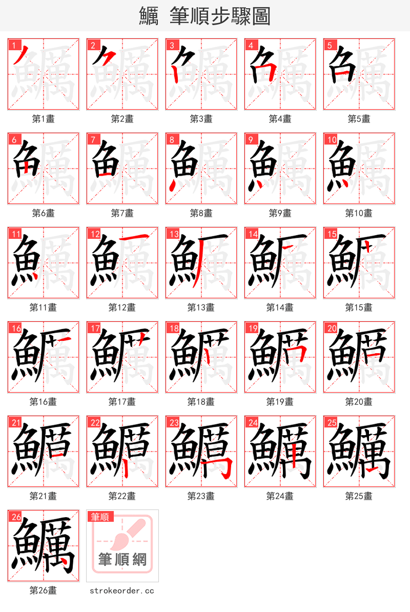 鱱 的笔顺分步演示（一笔一画写字）