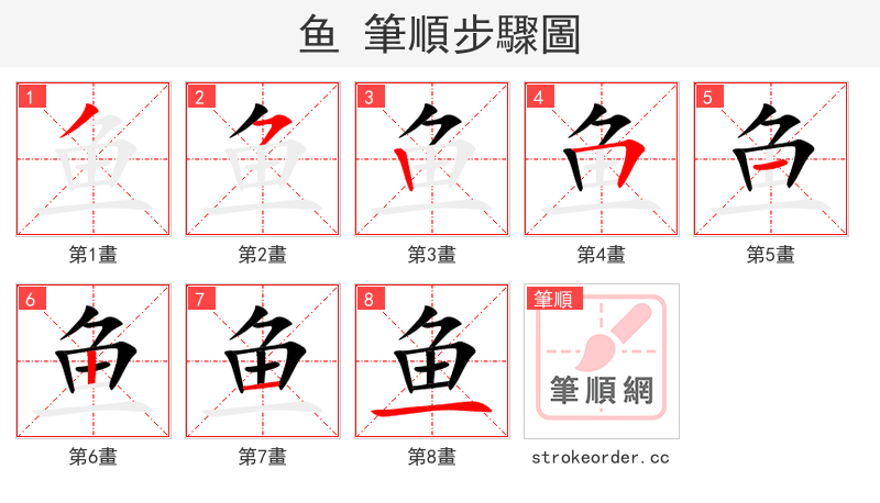鱼 的笔顺分步演示（一笔一画写字）