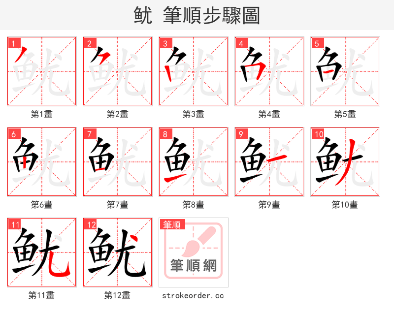 鱿 的笔顺分步演示（一笔一画写字）