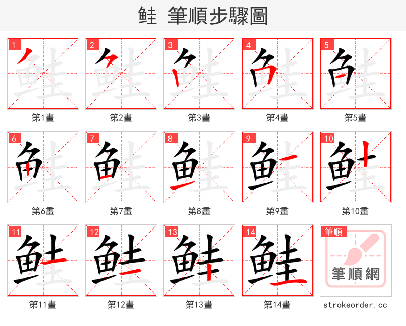 鲑 的笔顺分步演示（一笔一画写字）