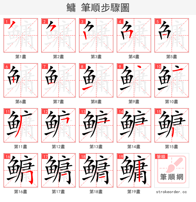 鳙 的笔顺分步演示（一笔一画写字）