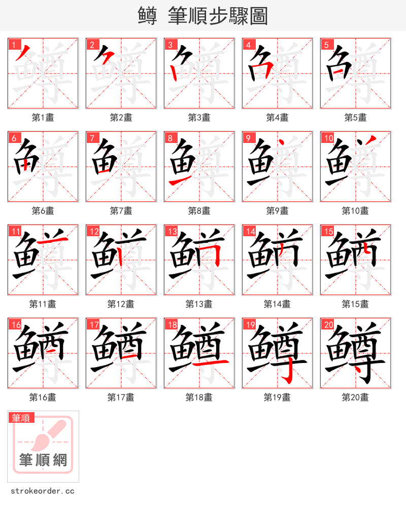 鳟 的笔顺分步演示（一笔一画写字）