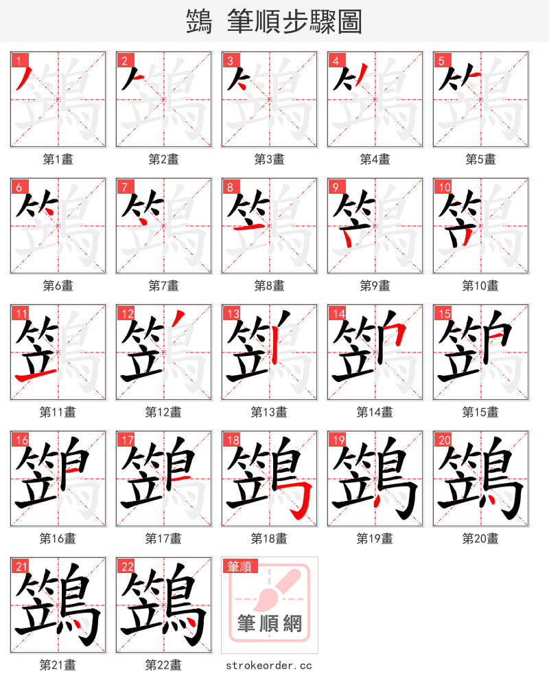 鷑 的笔顺分步演示（一笔一画写字）